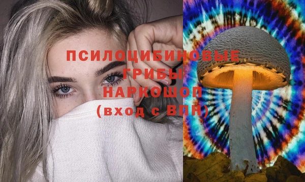 соль курить ск Алексин
