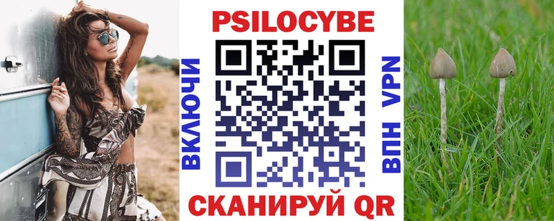 Галлюциногенные грибы Psilocybe  ссылка на мегу онион  Юрьев-Польский 