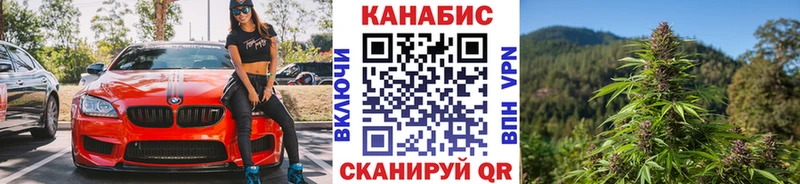 купить наркоту Юрьев-Польский Бошки марихуана тримм